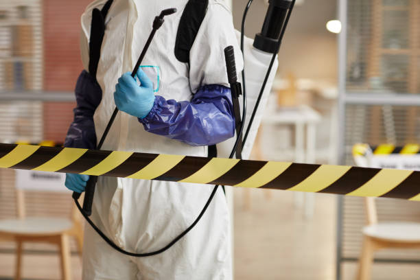 Professional Sewage Cleanup technician working in Greenville, WI